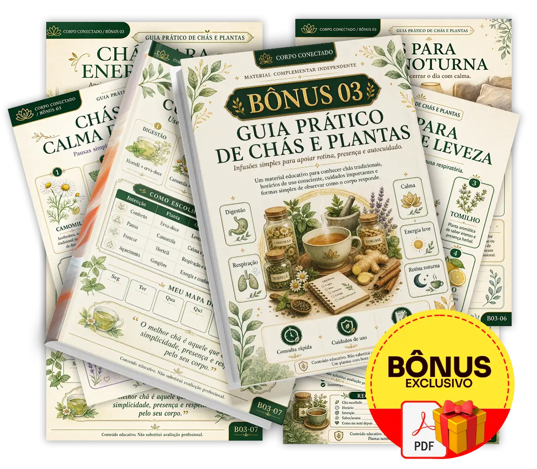 Mockup do Bônus 03